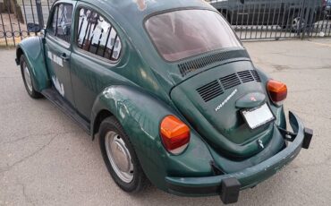 Volkswagen-beetle-1996-green-6
