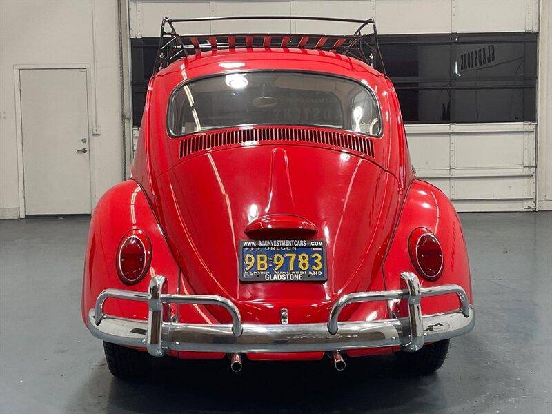 Volkswagen-beetle-classic-2dr-1965-red-4