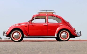 Volkswagen-bug-1965-red