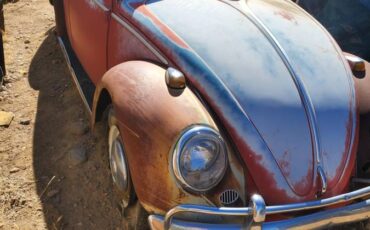 Volkswagen-bug-1966-1