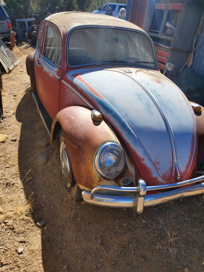 Volkswagen-bug-1966-1