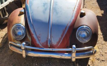 Volkswagen-bug-1966-2