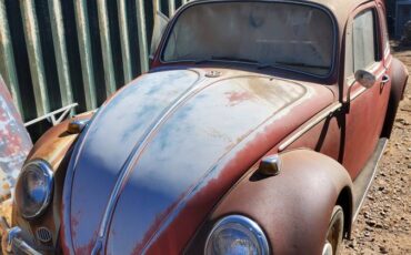 Volkswagen-bug-1966