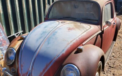 Volkswagen bug 1966