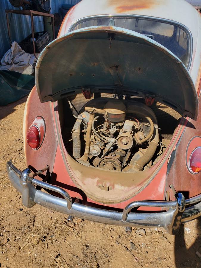 Volkswagen-bug-1966-5