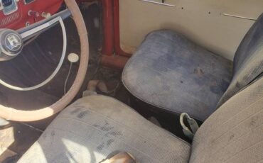 Volkswagen-bug-1966-8