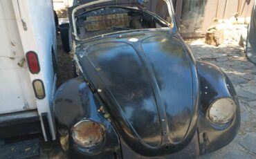 Volkswagen-bug-1969-black-3