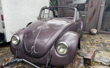 Volkswagen-bug-1969-black