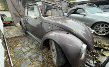 Volkswagen-bug-1969-black-5