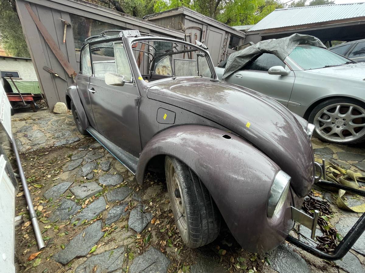 Volkswagen-bug-1969-black-5