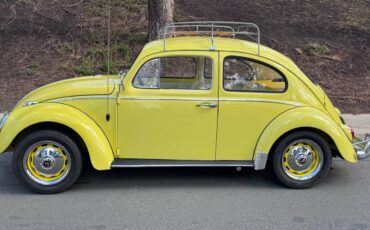 Volkswagen-bug-beetle-1963-yellow-1