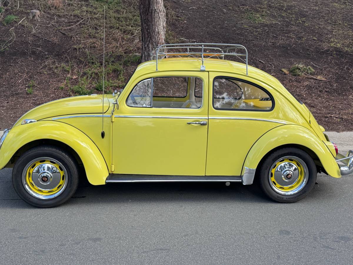 Volkswagen-bug-beetle-1963-yellow-1