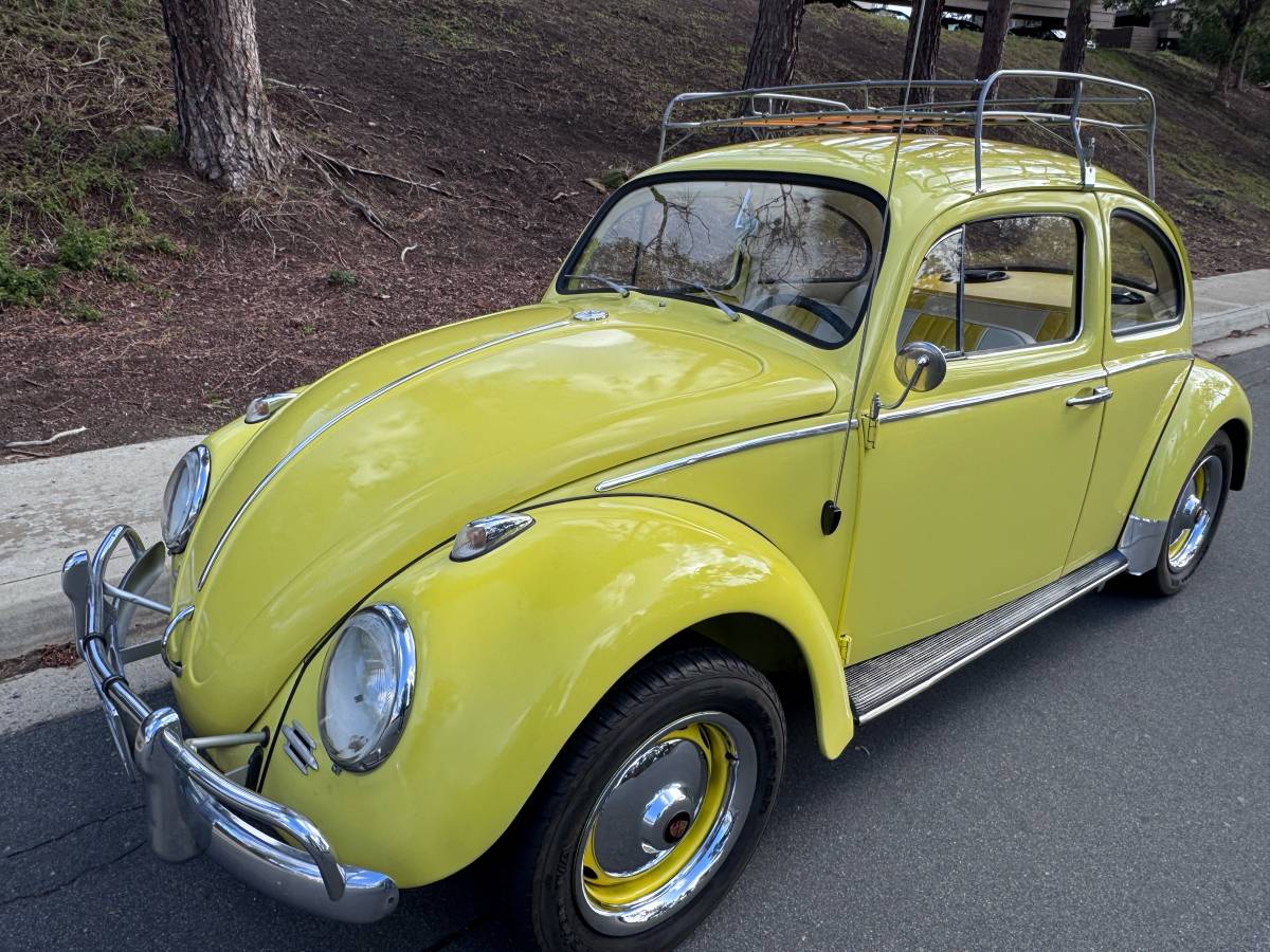 Volkswagen-bug-beetle-1963-yellow-2