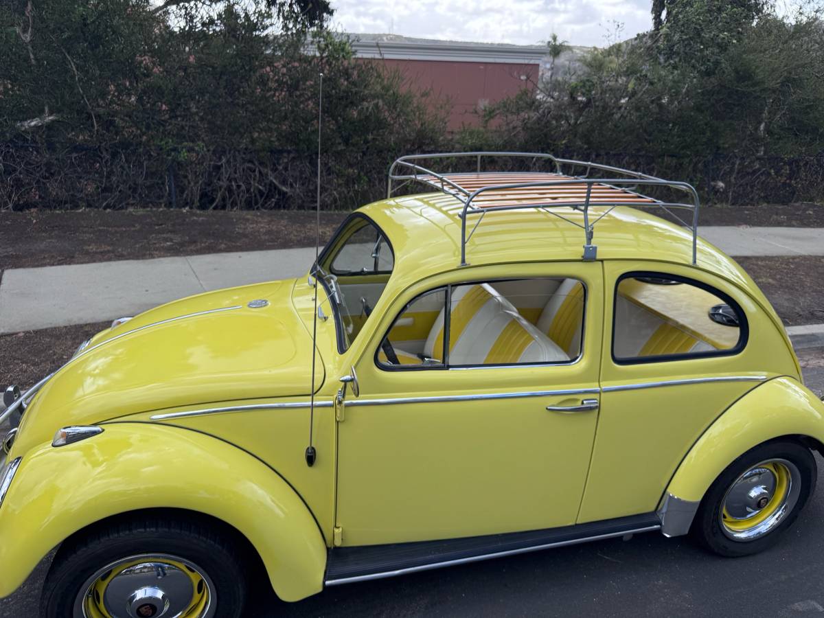 Volkswagen-bug-beetle-1963-yellow-21