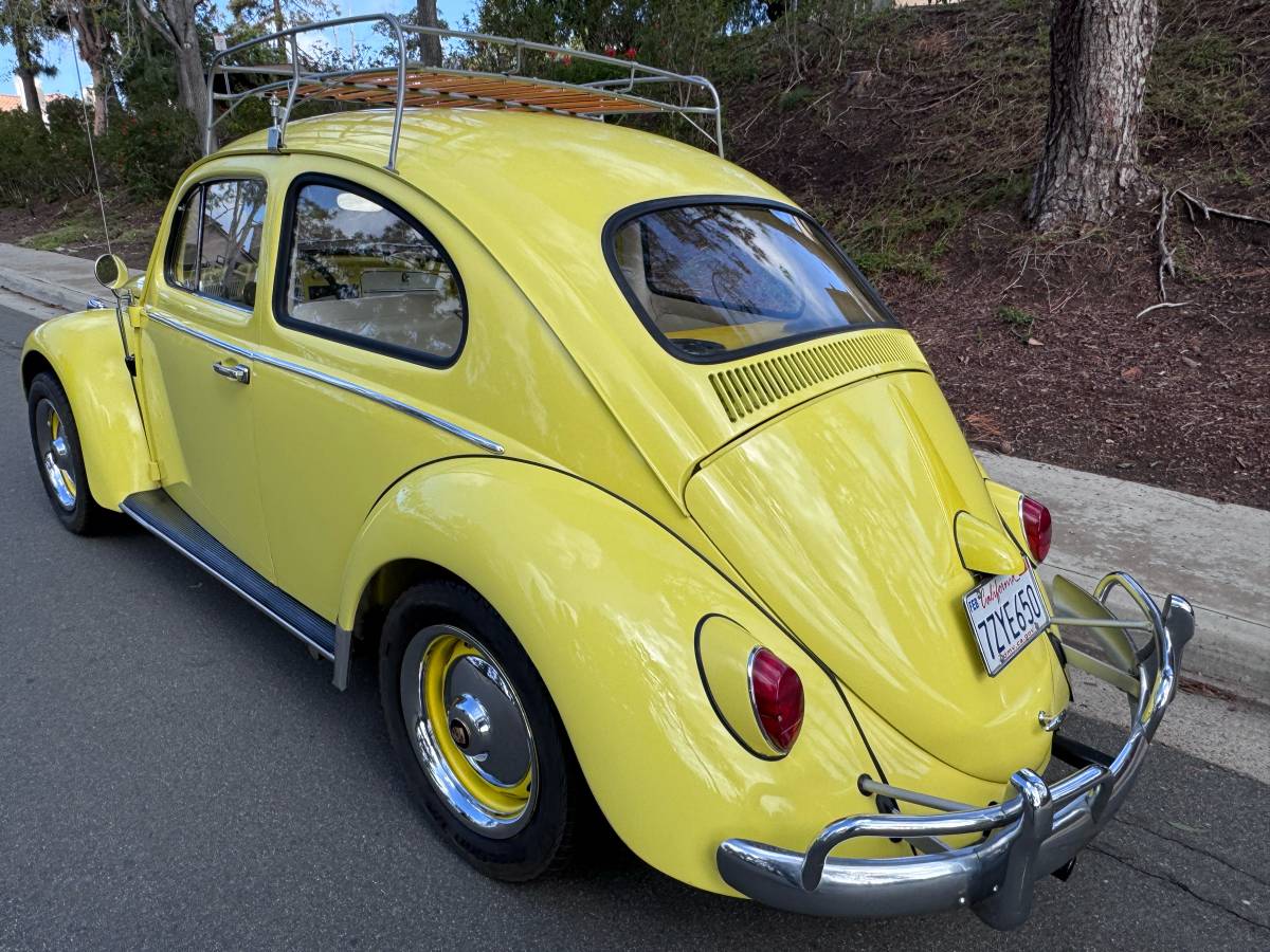 Volkswagen-bug-beetle-1963-yellow-3