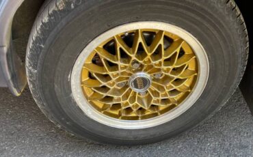Volkswagen-rabbit-diesel-1981-blue-2