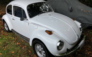 Volkswagen-super-beetle-1972-white