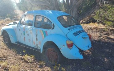 Volkswagen-super-beetle-1973-blue-1