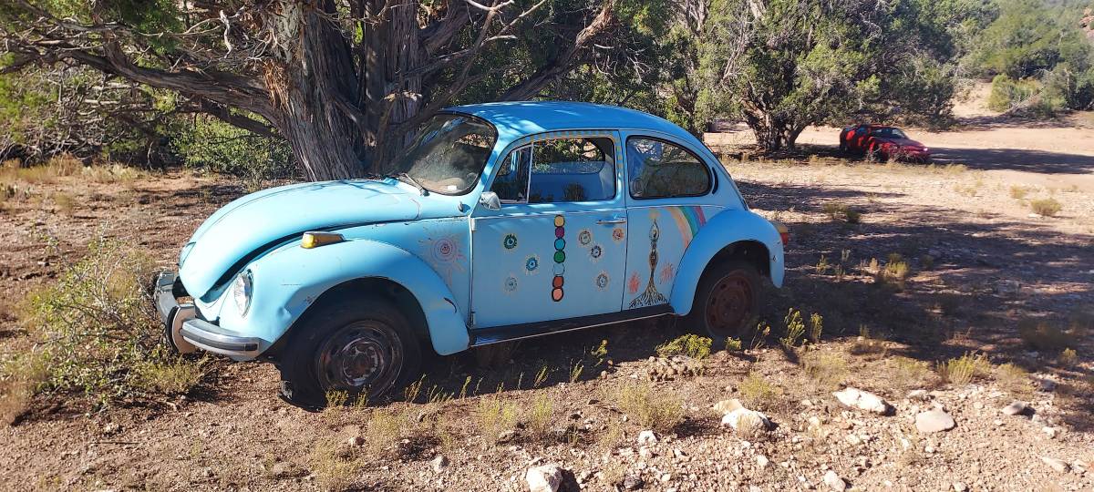 Volkswagen-super-beetle-1973-blue