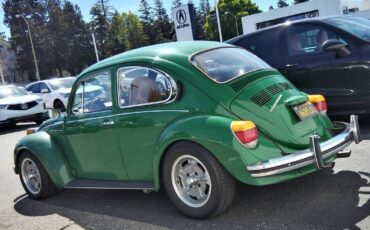 Volkswagen-super-beetle-1973-green