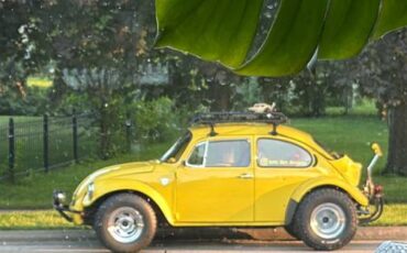 Volkswagen-super-beetle-1974-yellow