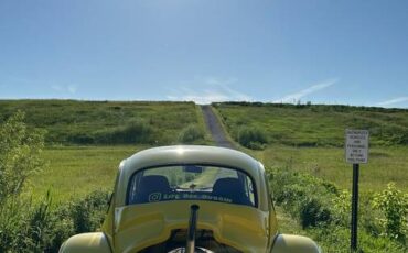 Volkswagen-super-beetle-1974-yellow-6
