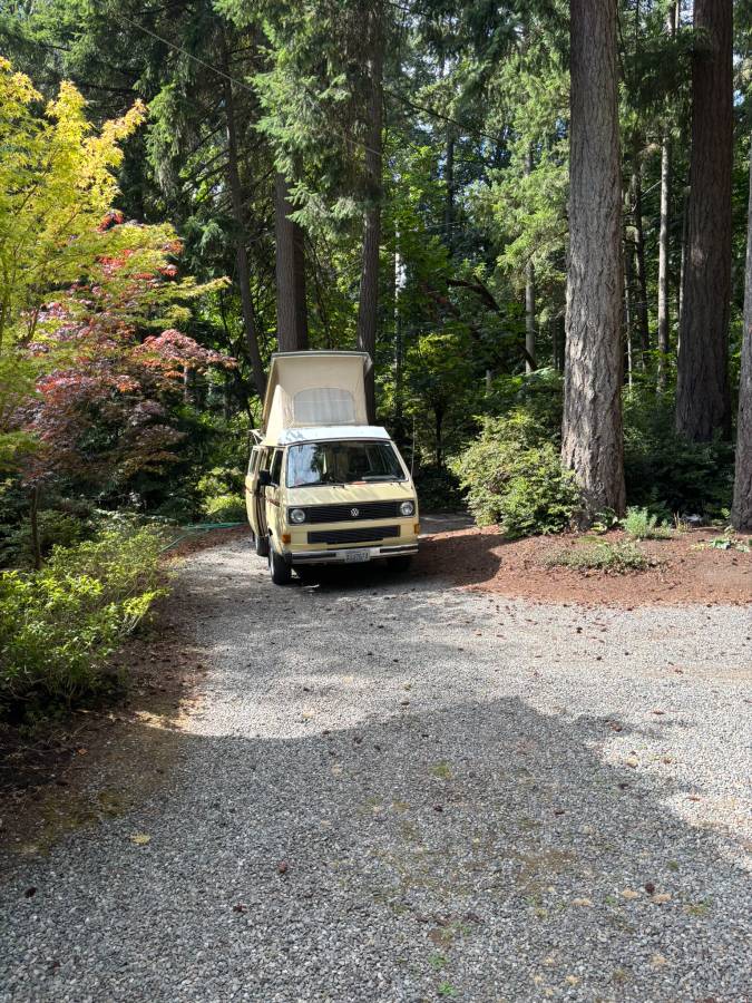 Volkswagen-vanagon-camper-1984-yellow-19