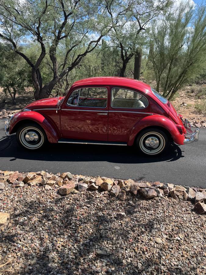 Volkswagon-beetle-1966-red-6