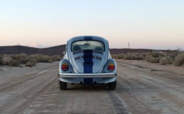 Volkswagon-beetle-1974-3
