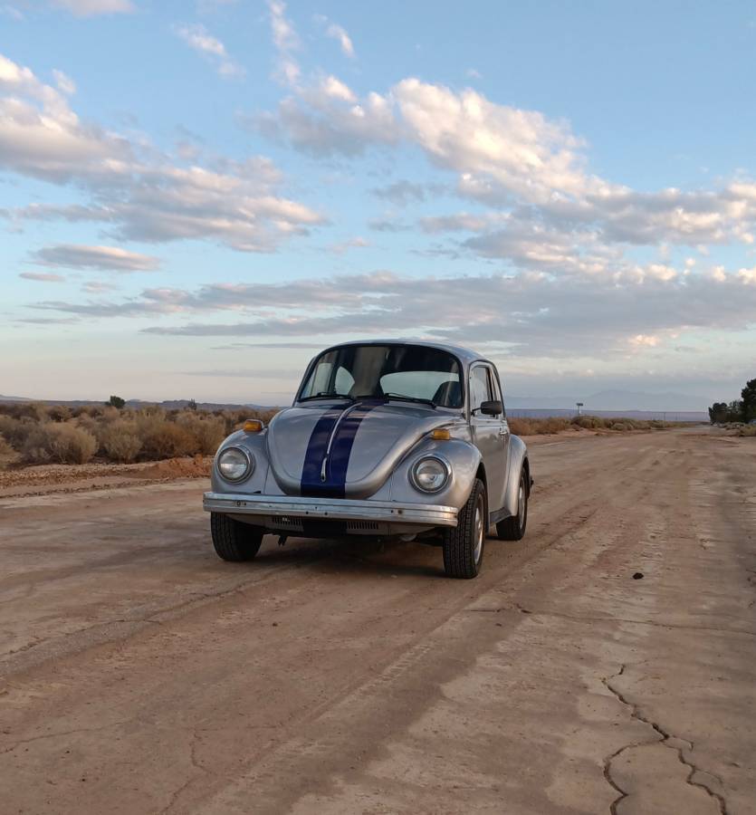 Volkswagon-beetle-1974-4