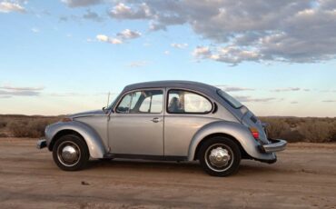 Volkswagon-beetle-1974-5