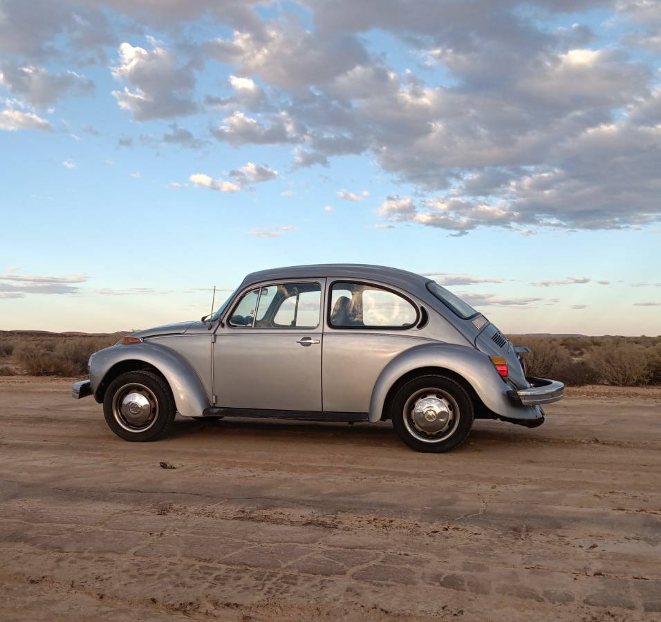 Volkswagon-beetle-1974-5