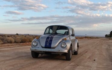 Volkswagon-beetle-1974