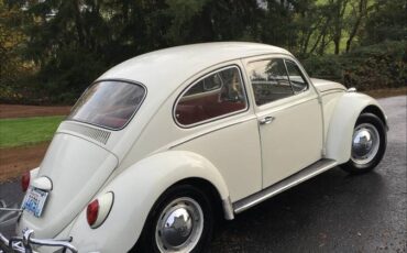 Volkwagen-bug-1963-white-1