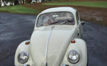 Volkwagen-bug-1963-white