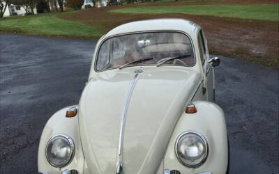 Volkwagen bug 1963