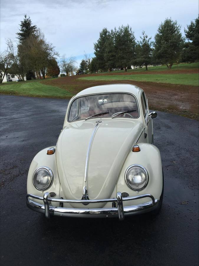 Volkwagen-bug-1963-white