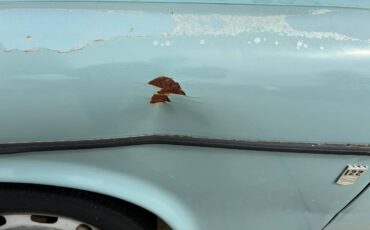 Volvo-122s-amazon-1966-blue-6