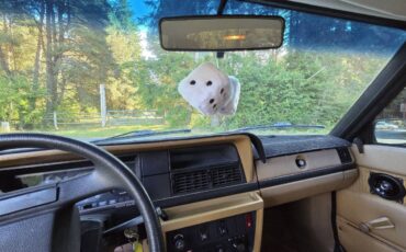 Volvo-240-1984-white-11