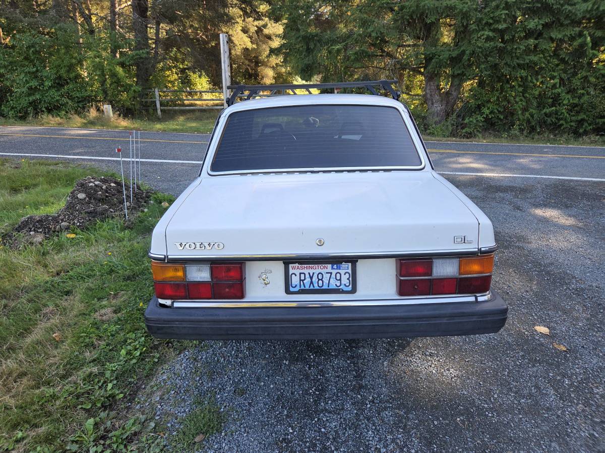 Volvo-240-1984-white-4