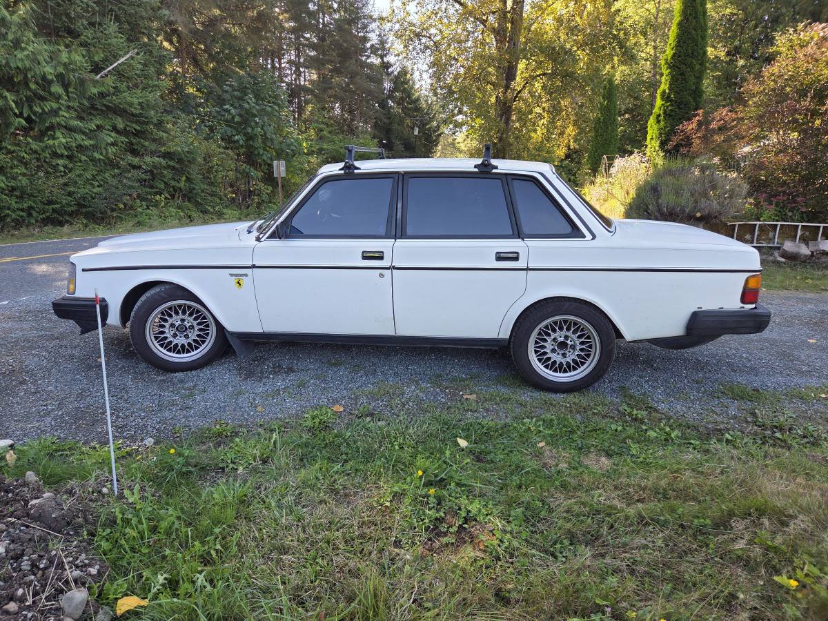Volvo-240-1984-white-9