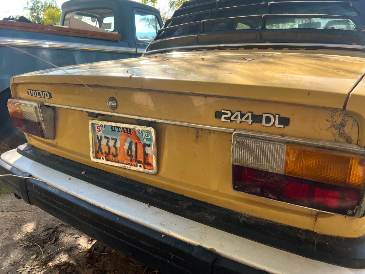Volvo-244-dl-1978-yellow-4