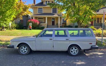 Volvo-245-1979-brown-3