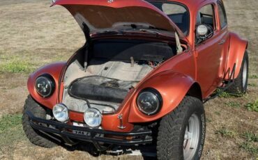 Vw-baja-bug-1966-custom-15