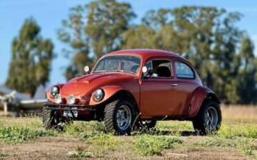 Vw-baja-bug-1966-custom-16