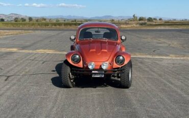 Vw-baja-bug-1966-custom-17