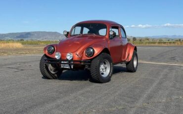 Vw-baja-bug-1966-custom-19