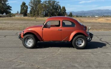 Vw-baja-bug-1966-custom-3