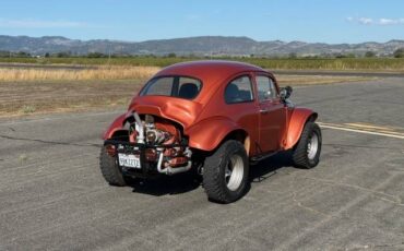 Vw-baja-bug-1966-custom-5