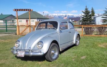 Vw-beetle-1962-1